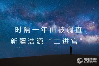 新疆广汇实业投资集团乌鲁木齐分公司工商与资产管理风险透视